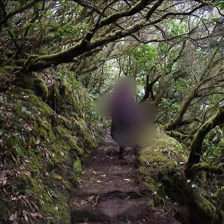 Monte Verde Chinamada エクステリア 写真