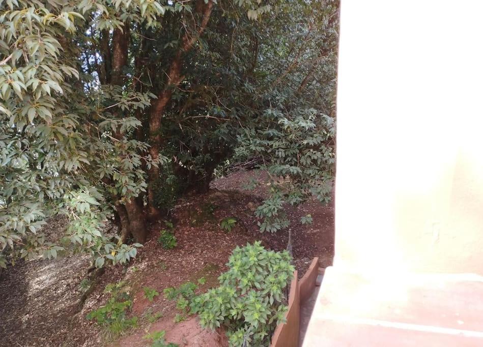 Monte Verde Chinamada エクステリア 写真