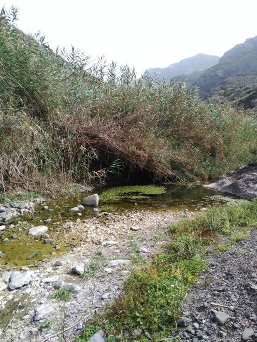 Monte Verde Chinamada エクステリア 写真