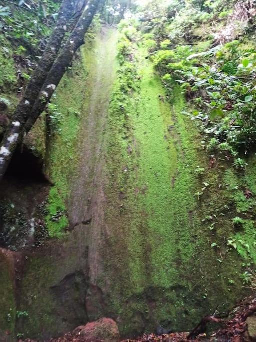 Monte Verde Chinamada エクステリア 写真