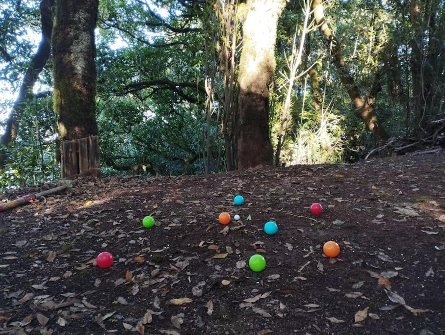 Monte Verde Chinamada エクステリア 写真