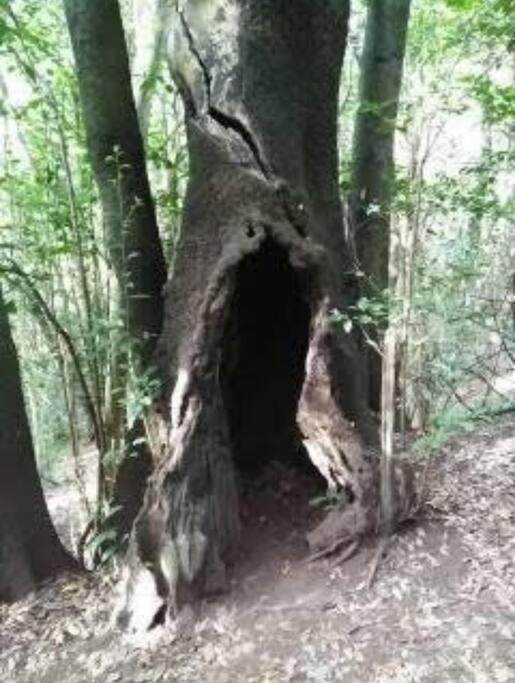 Monte Verde Chinamada エクステリア 写真