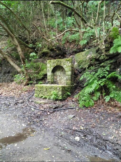 Monte Verde Chinamada エクステリア 写真